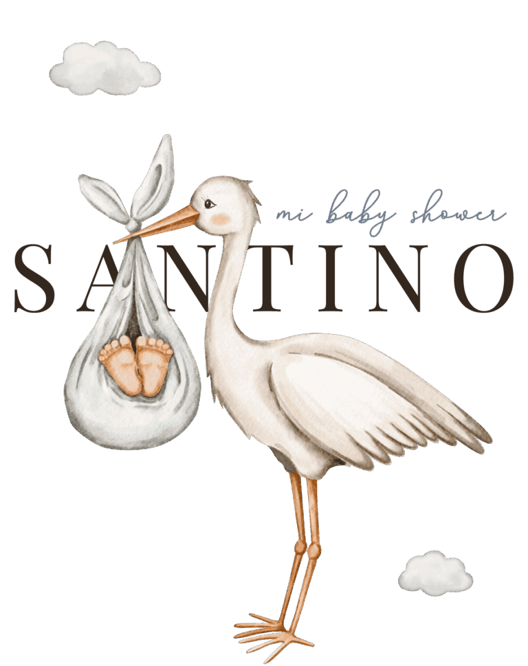 BABY SHOWER SANTINO-08