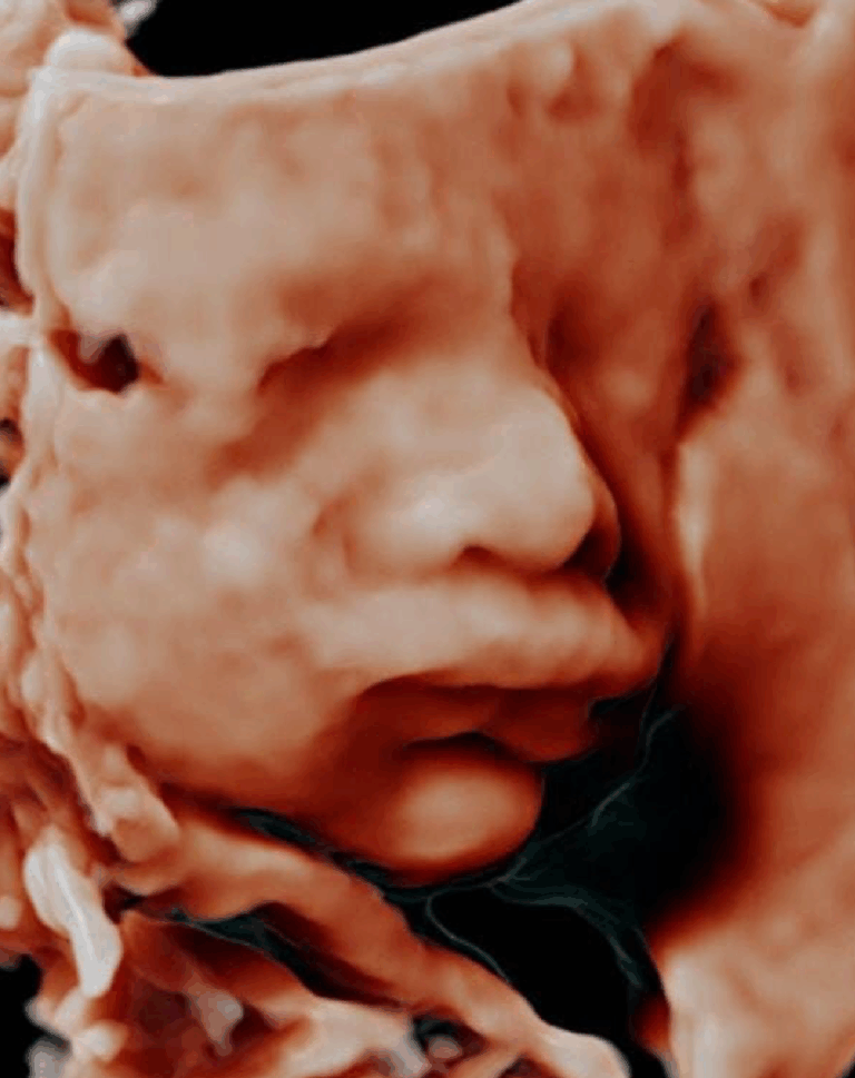 INVITACION BENJAMIN_Mesa de trabajo 2 copia 8