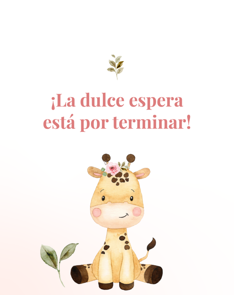 BABY SHOWER AMBAR_Mesa de trabajo 2 copia 7