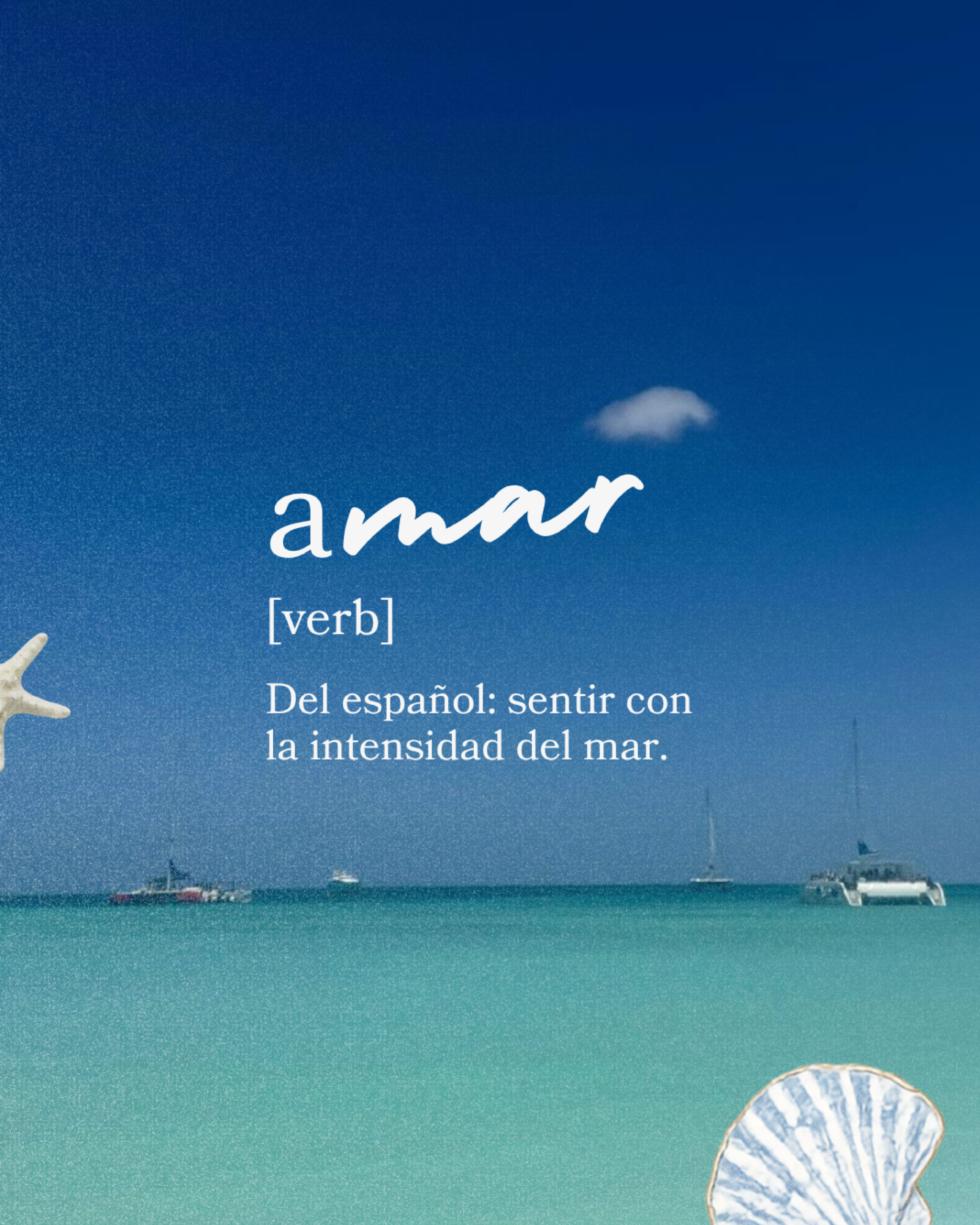 CARRUSEL MARIANN-06