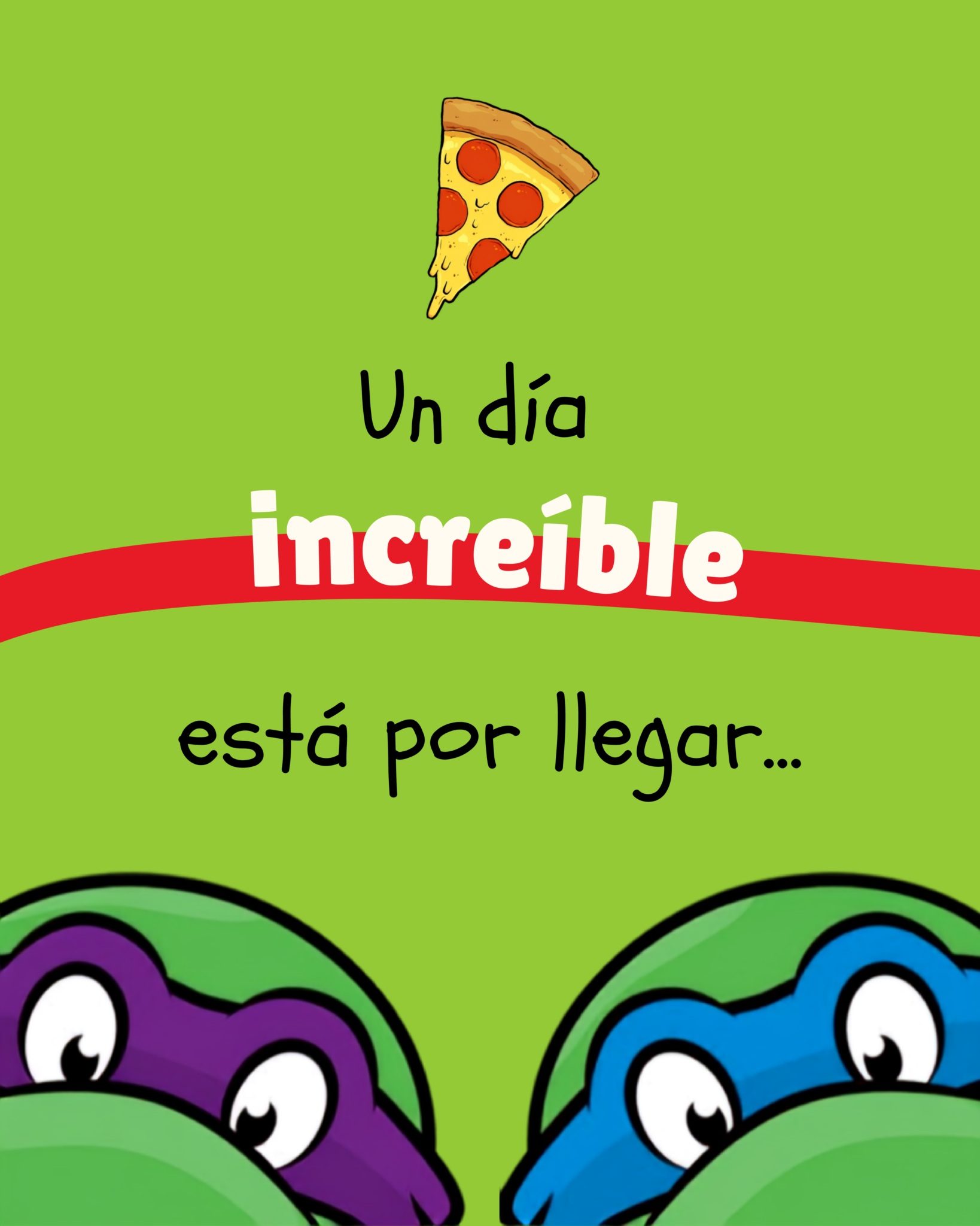 tortugas_carru1